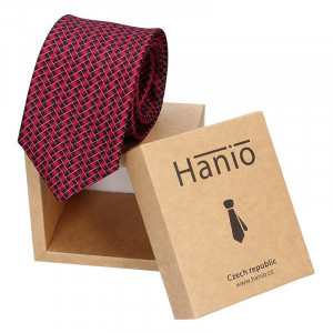 Férfi nyakkendő Hanio Fred - lila